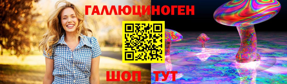 Галлюциногенные грибы Psilocybe Югорск
